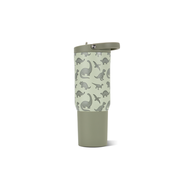 Dinosaur D3